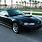 2003 Mustang GT Black