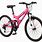 24 Inch Girls Bicycle