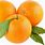3 Orange Fruits