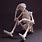 3D Print Human Skeleton