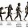 4 Stages of Human Evolution