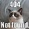 404 Meme