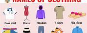 5 Different Types of Clothing