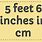 5 Feet 6 Inches in Cm