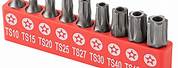 5 Point Security Torx