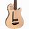 5 String Acoustic Bass Guitar