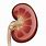 9 Millimeter Kidney Stone