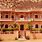 Aapno Rajasthan Resort