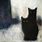 Abstract Art Black Cat
