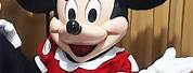 Adult Minnie Mouse Mascot Costume