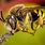 Africanized Bee Images