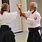 Aikido Martial Arts Techniques