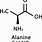 Alanine Molecule