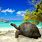 Aldabra Seychelles