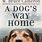 All Dogs in W Bruce Cameron Books