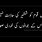 Allama Muhammad Iqbal Poetry