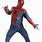 Amazing Spider-Man Halloween Costume