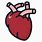 Anatomical Heart Icon