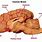 Anatomy of Dog Brain