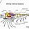 Anatomy of a Shrimp