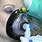 Anesthesia Gas Mask