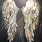 Angel Wings Art
