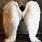 Angel Wings Halloween Costume