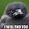 Angry Crow Meme