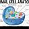Animal Cell HD