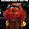 Animal From Muppets Meme