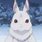 Anime Rabbit Characters