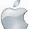 Apple Icon Image