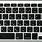 Apple Japanese Keyboard