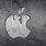 Apple Logo Cover