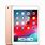 Apple iPad 6th Generation 32GB