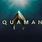 Aquaman Symbol