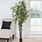 Artificial Trees for Indoor Decor