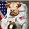 Astronaut Cow