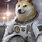 Astronaut Doge Meme