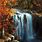 Autumn Waterfall Painting