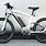 BMW Electric Bicycle