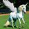 Baby Unicorn Pegasus