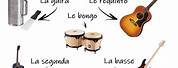 Bachata Instruments