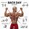 Back Muscles Workout