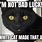 Bad Luck Cat Meme