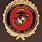 Badges of the United States Marine Corps