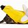 Banana Cat Costumes