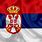 Bandera De Serbia