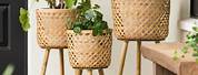 Basket Planter with Stand