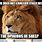 Be a Lion Meme